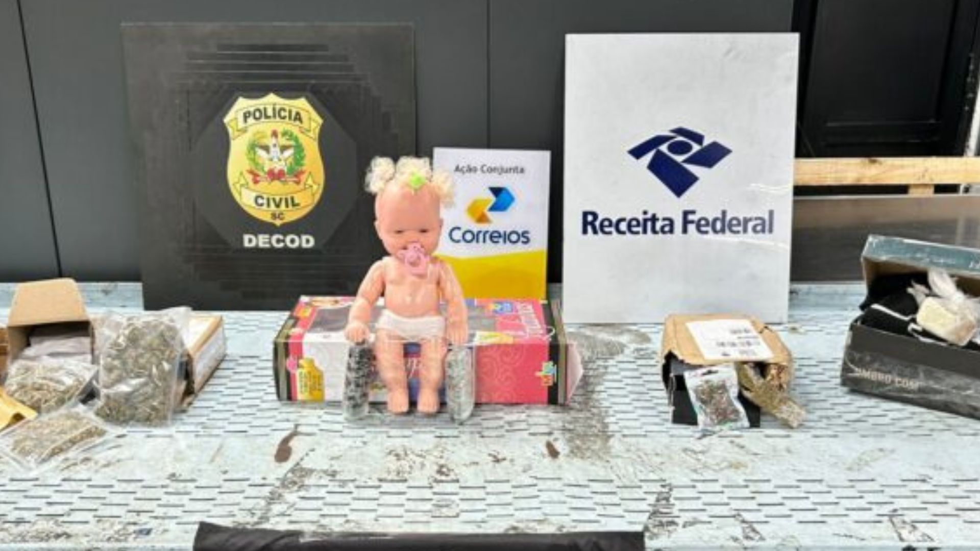 Boneca recheada com drogas é apreendida em SC durante operação nos Correios. – Foto: PCSC/Reprodução