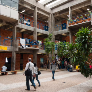 Saiba como ingressar na UFSC sem precisar de prova. - Foto: Henrique Almeida/UFSC/Reprodução