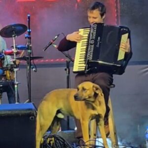 Cachorro caramelo sobe ao palco e vira atração em show de Os Fagundes na Festa do Pinhão | Foto: Graci Cunha
