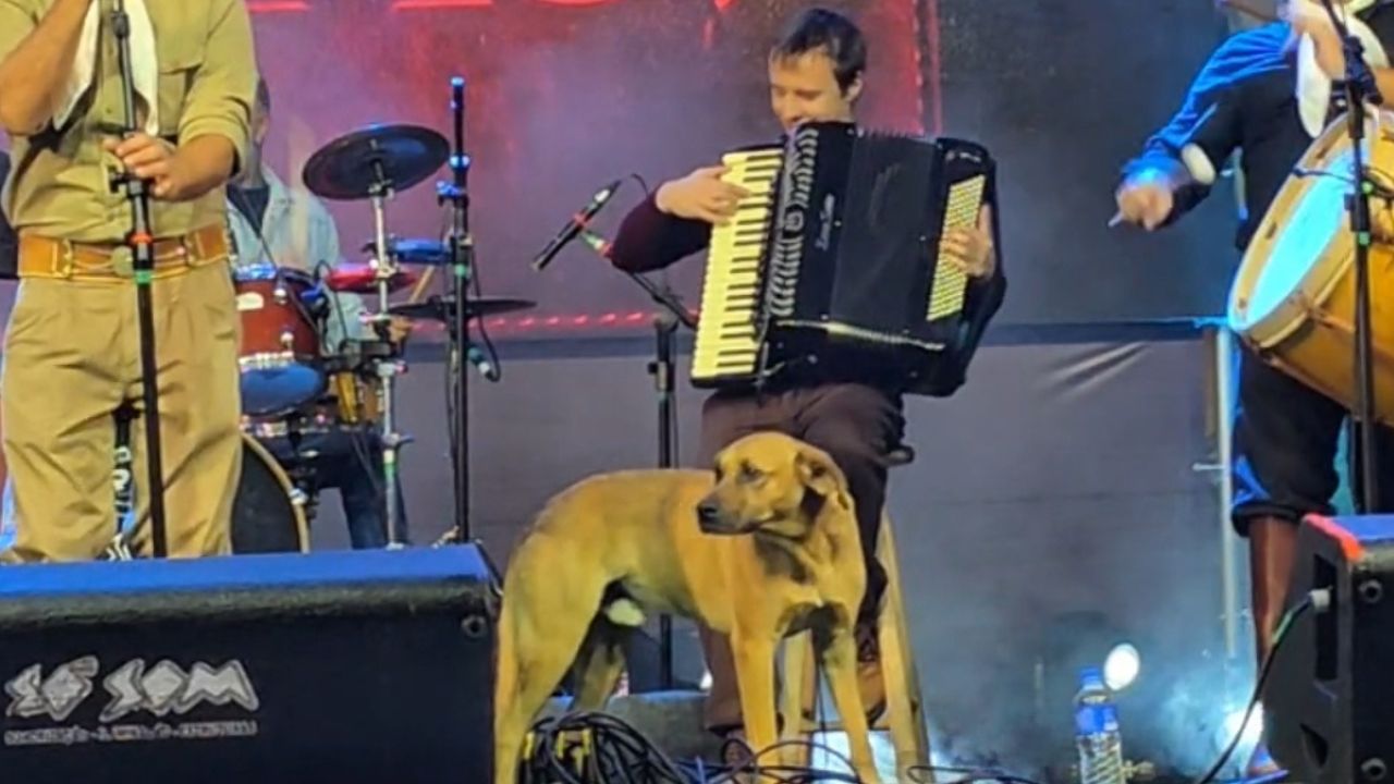 Cachorro caramelo sobe ao palco e vira atração em show de Os Fagundes na Festa do Pinhão | Foto: Graci Cunha