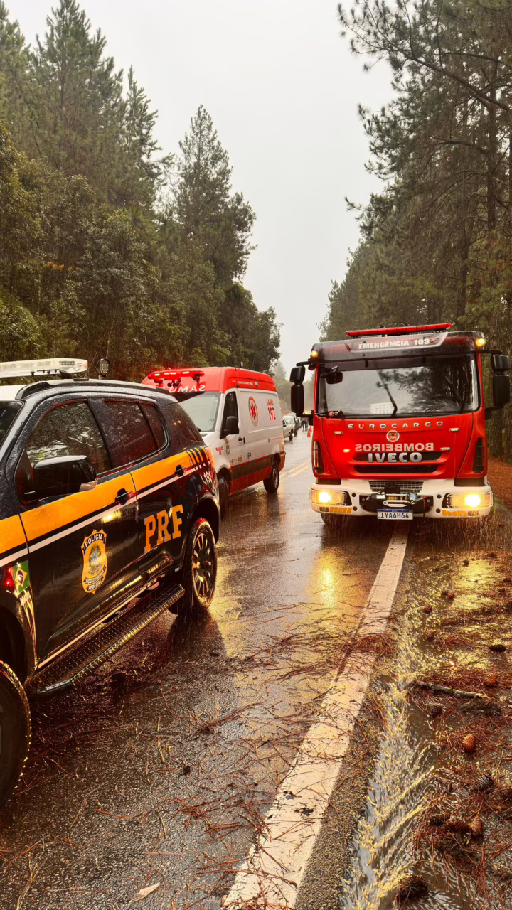 Caminhonete colide com árvore e homem morre na BR-282