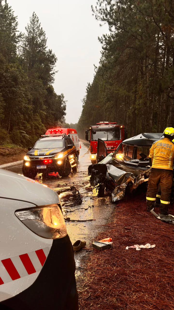 Caminhonete colide com árvore e homem morre na BR-282