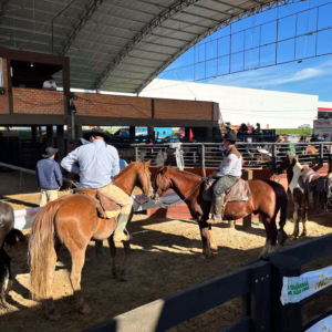 Confira a programação do Rodeio Nacional em Santo Amaro da Imperatriz deste domingo | Foto: SCC10