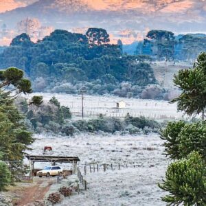 Frio se intensifica em SC termômetros marcam abaixo de zero nesta quinta | Foto: Sérgio Felipe Rodrigues