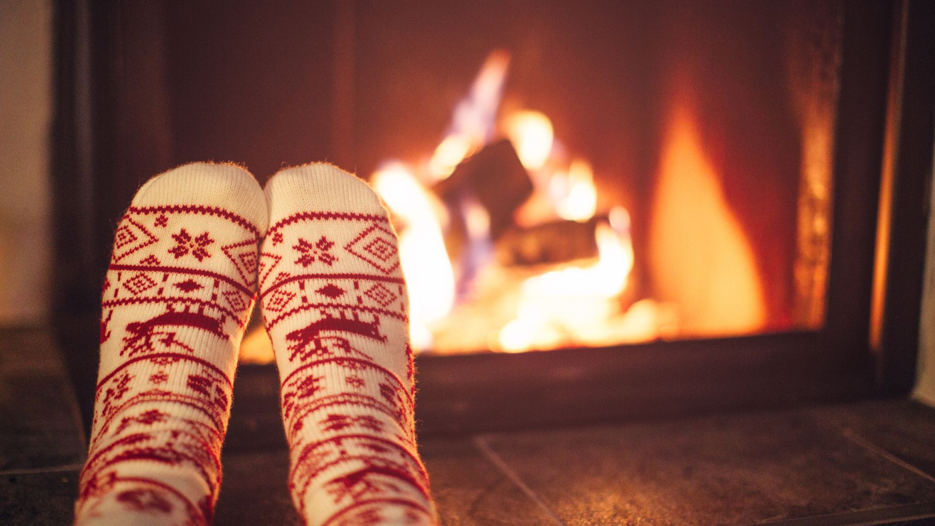 Inverno começa nesta sexta-feira (20) no Brasil. – Foto: Canva/Reprodução