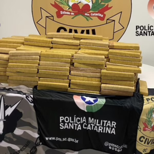 Apreensão ocorreu em Rancho Queimado, na Grande Florianópolis | Imagem: Polícia Civil/Reprodução
