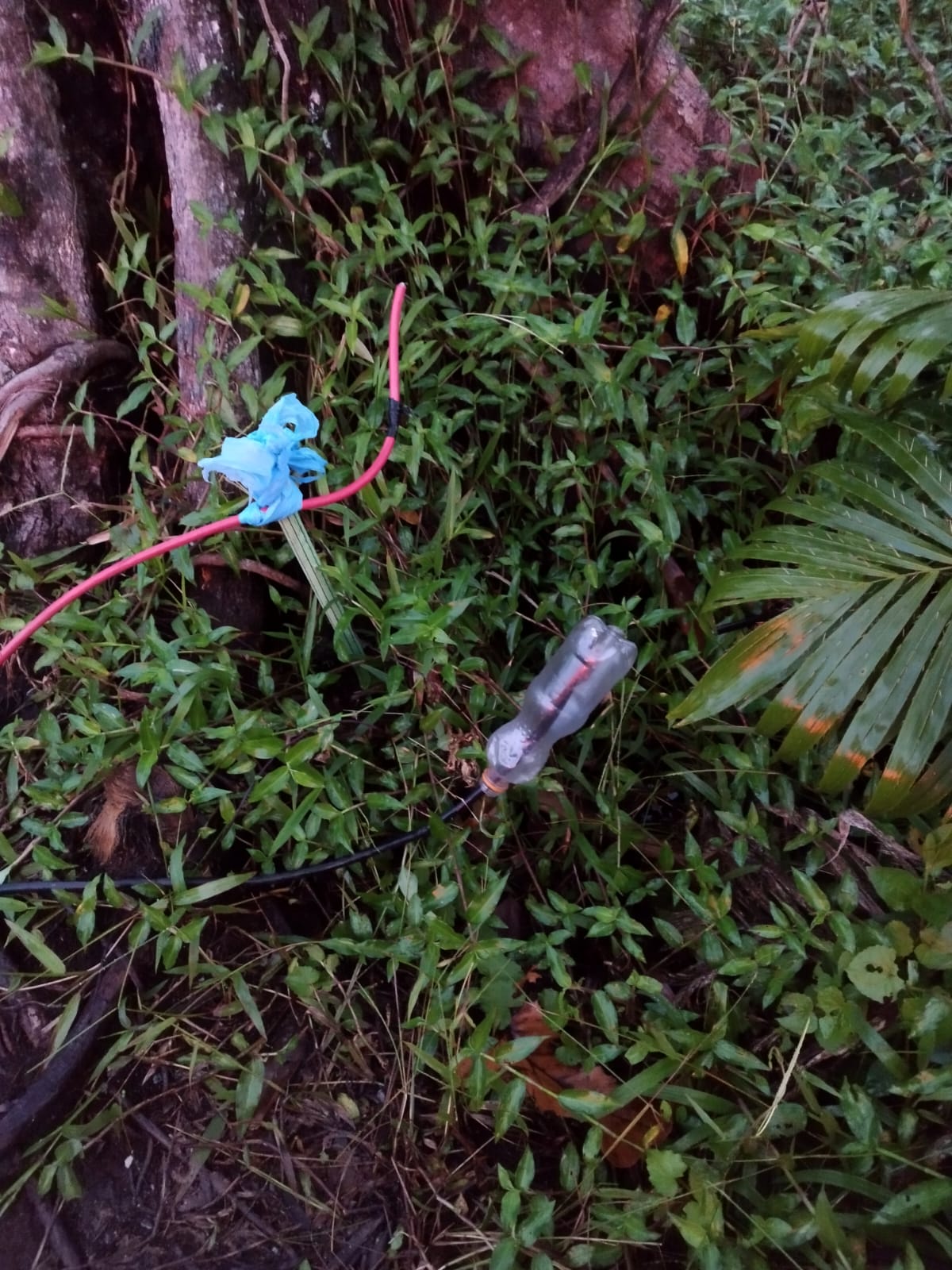 Mulher é resgatada de residência em chamas em Itapoá