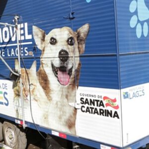 Mutirão de castração gratuita para cães e gatos será no dia 27 em Lages | Foto: Toninho Vieira