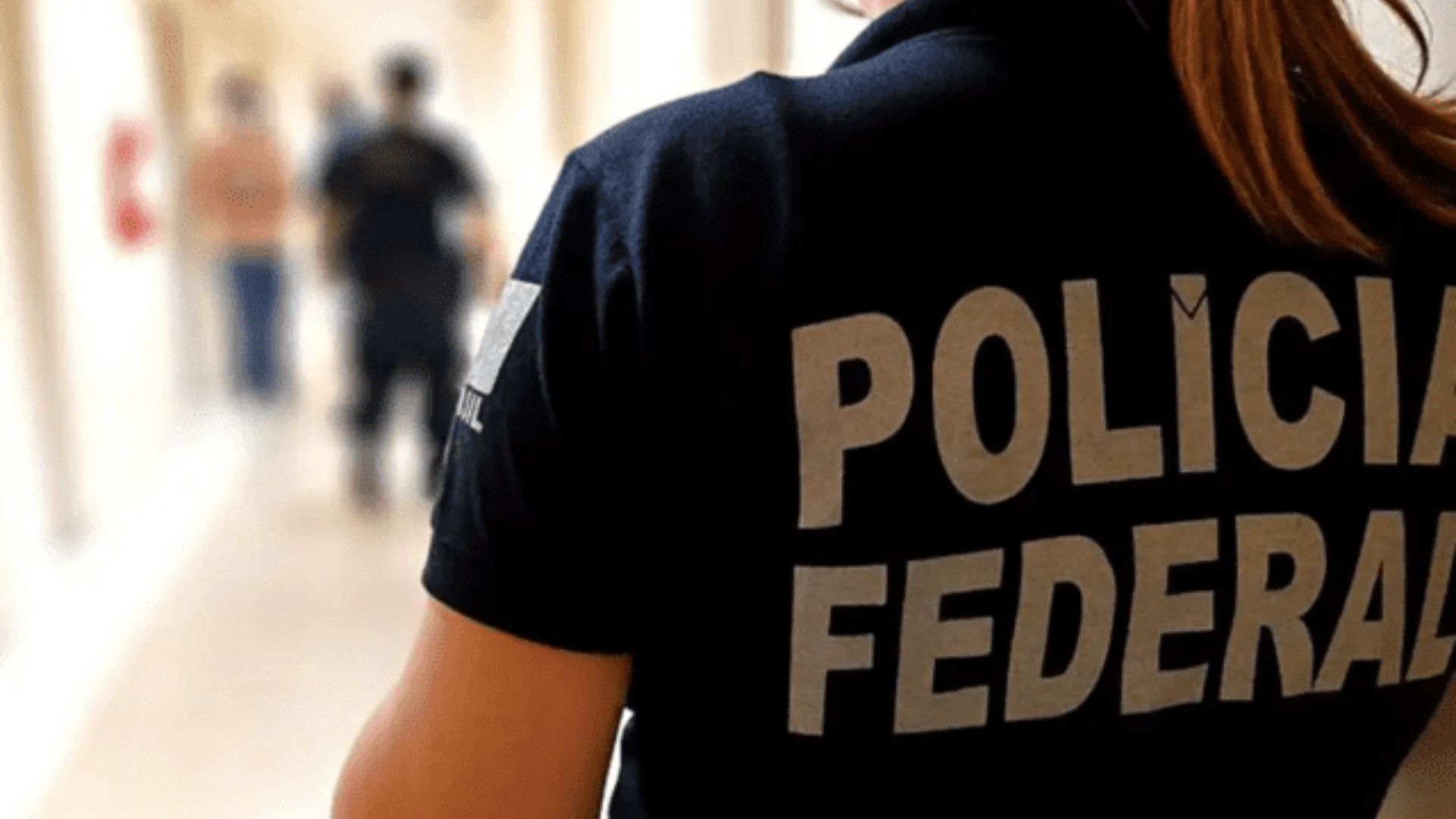 Ação ocorreu no município de Belmonte | Foto: Polícia Federal/Reprodução
