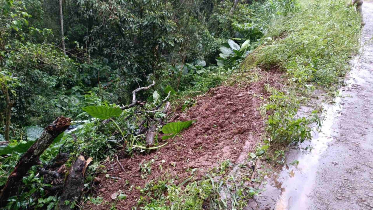 Carro despenca em ribanceira de 15 metros e mãe e filha escapam sem ferimentos em SC