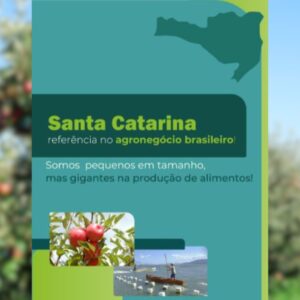 Santa Catarina se destaca entre os maiores do agro no Brasil | Foto: Epagri/Cepa/montagem.