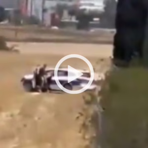 Policiais são flagrados cometendo atos obscenos em viatura; veja vídeo | Foto: AratuOn/Reprodução