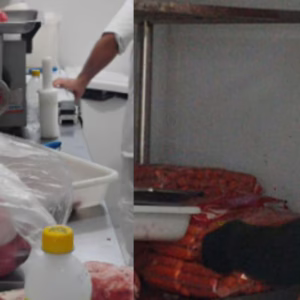 Fiscalização encontra mais de 600 kg carne vencida em supermercados de SC - Imagem: MPSC