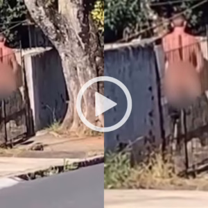 Nu, homem é flagrado fazendo gestos obscenos para mulheres; veja vídeo | Foto: Massa.com.br/Reprodução