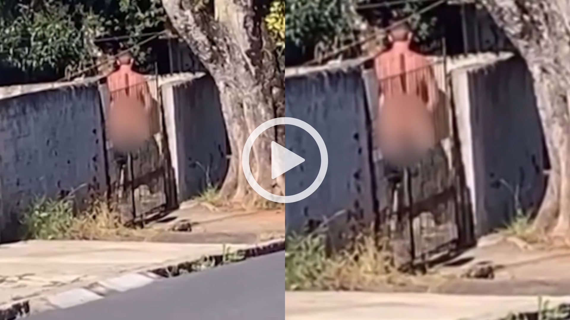 Nu, homem é flagrado fazendo gestos obscenos para mulheres; veja vídeo | Foto: Massa.com.br/Reprodução