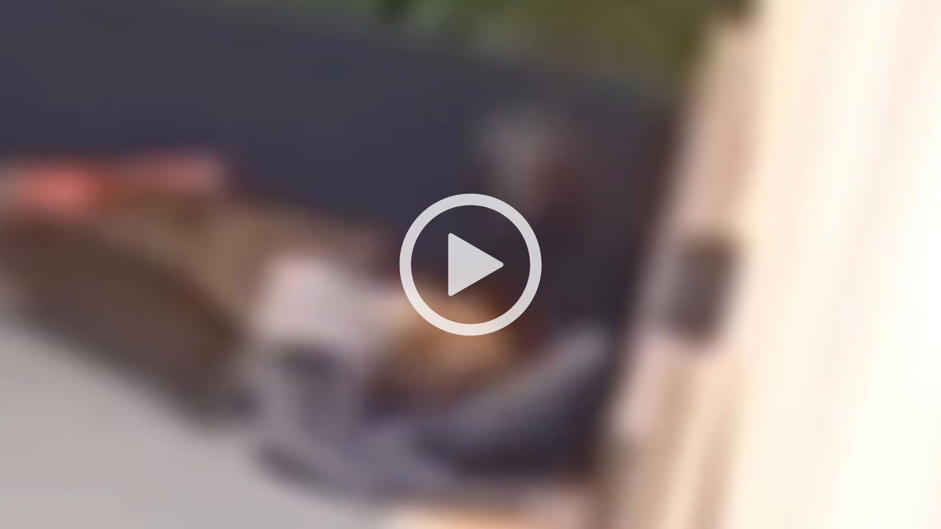 Vídeo flagra pessoa em situação de rua abusando de cachorra em SC | Foto: Redes sociais/Reprodução