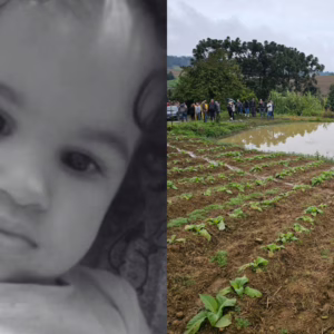 Criança desaparece e é encontrada morta em lagoa de SC | Foto: CBMSC/Reprodução