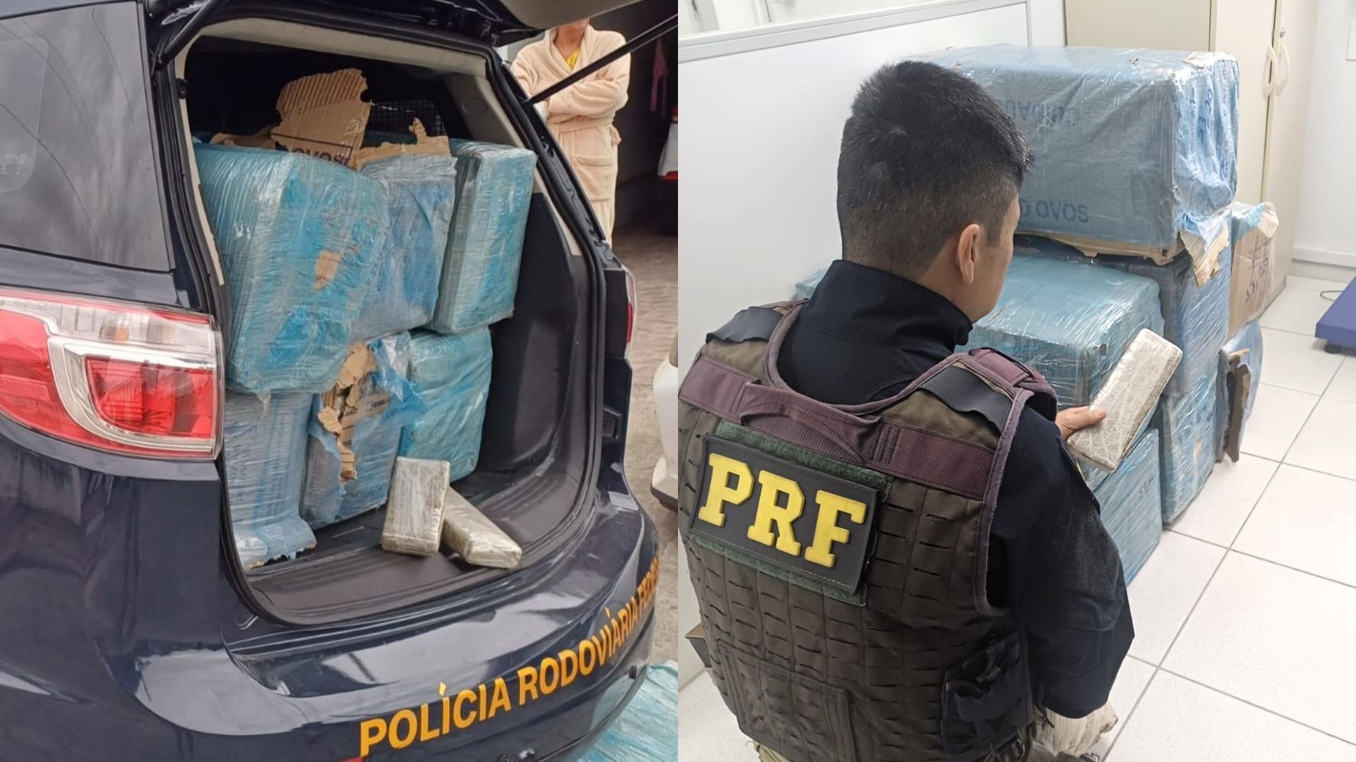 Homem foge em alta velocidade, invade casa e PRF descobre 320 kg de maconha em SC | Foto: PRF/Reprodução