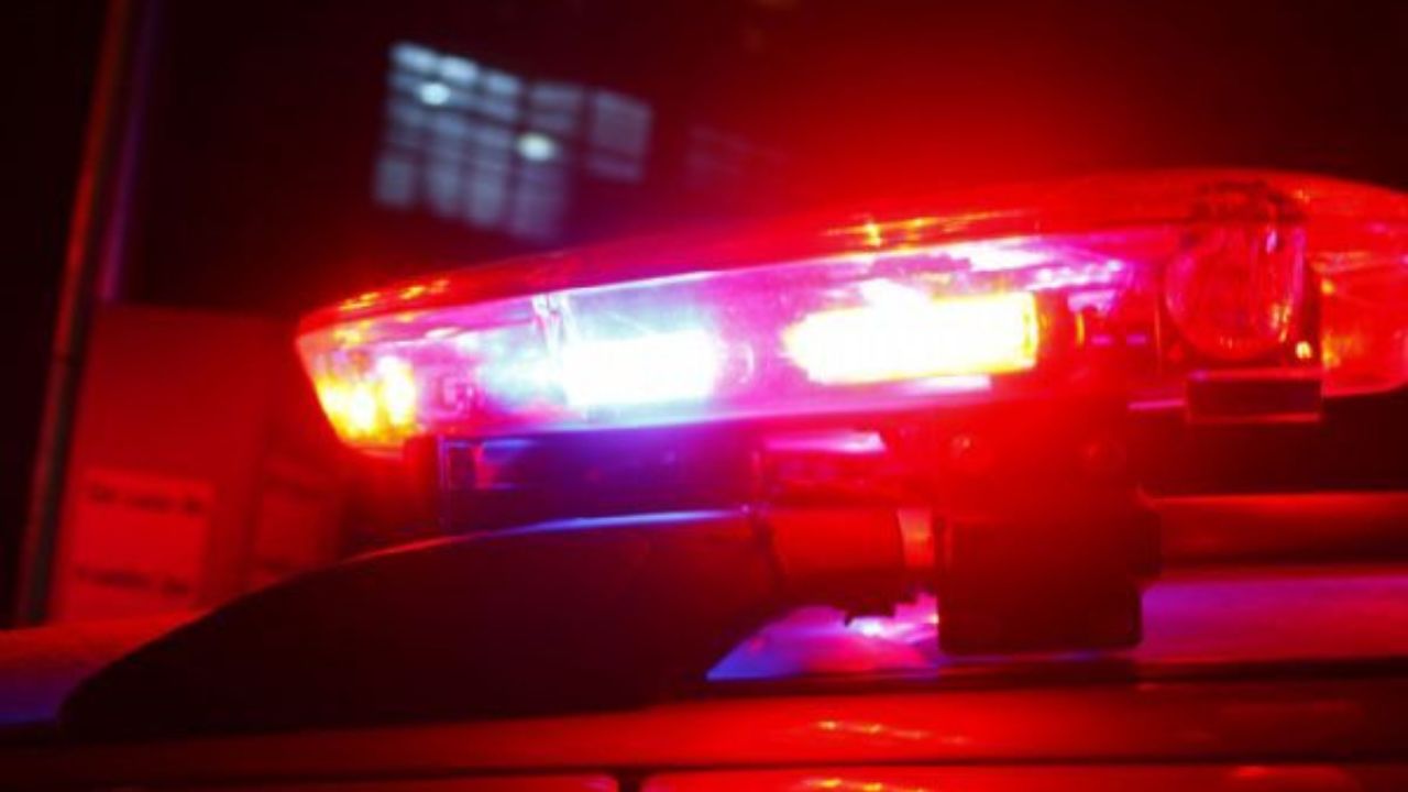 Após fraudes de alunos com carros de luxo, polícia investigará Universidade Gratuita | Foto: Internet/Reprodução