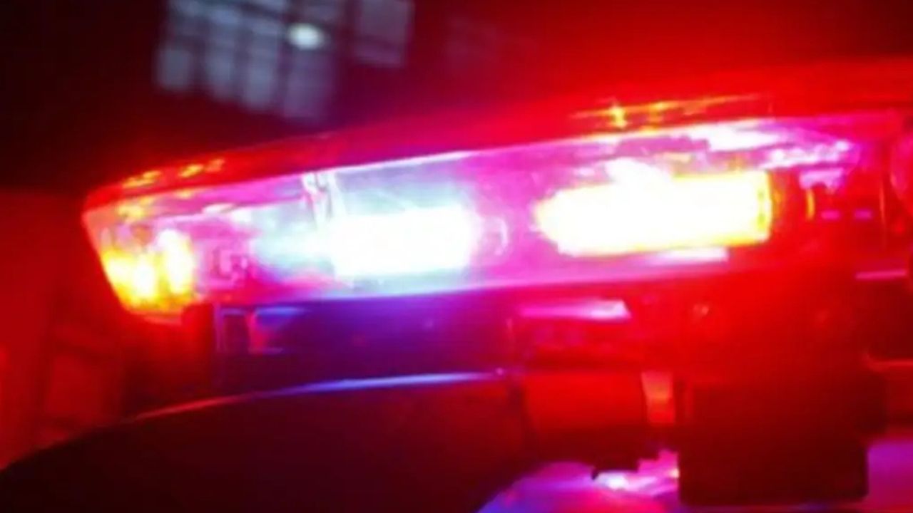 Polícia Militar prende homem por tráfico e apreende drogas em barreira de trânsito em Lages | Foto: divulgação PM
