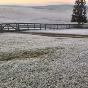 Serra Catarinense amanhece com geada e temperaturas congelantes; veja as fotos | Foto: Sidnei Moraes