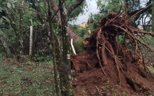 Tempestade ocorreu na madrugada de segunda-feira (23) | Imagem: CBMSC/Reprodução