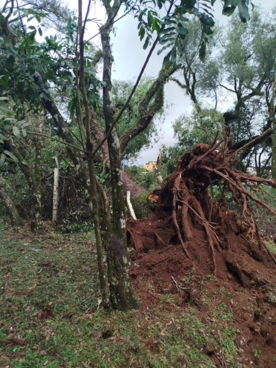 Tempestade gera caos e estragos em Abelardo Luz