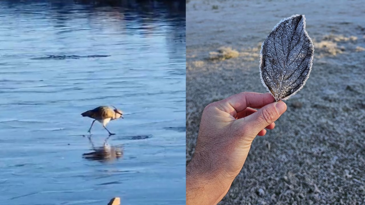 VÍDEO frio congela lagos na Serra Catarinense e aves caminham sobre o gelo no Cânion do Funil | Fotos: Miguel Carvalho/Sérgio Felipe Rodrigues