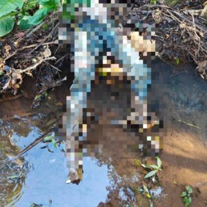Polícia confirma identidade do corpo encontrado em rio de SC | PC