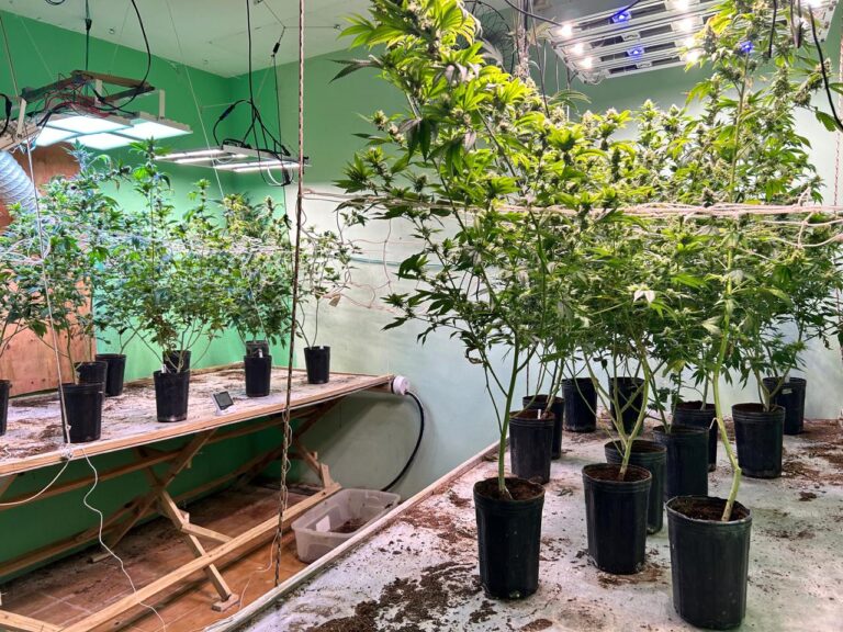 Imóvel de alto padrão servia como laboratório de drogas na capital |  PC