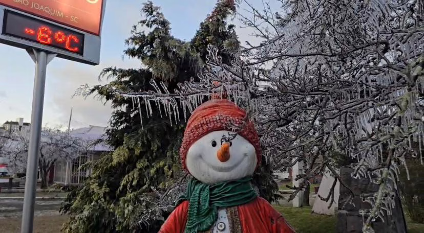VÍDEO: Frio intenso congela lagos e árvores na Serra Catarinense | Foto: Mychell Legnaghi