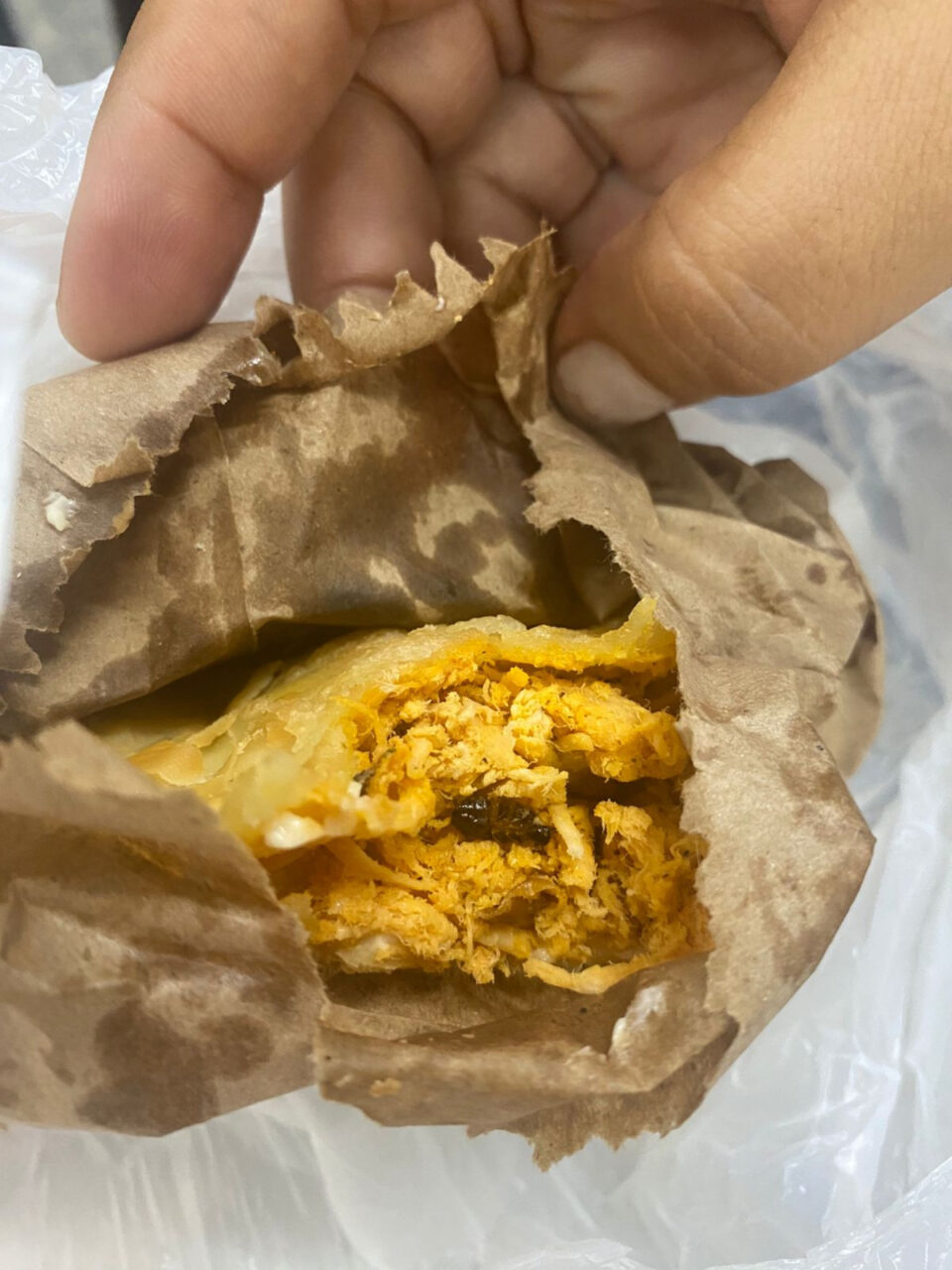 Jovem encontra barata viva dentro de pastel. - Foto: Redes sociais/Reprodução