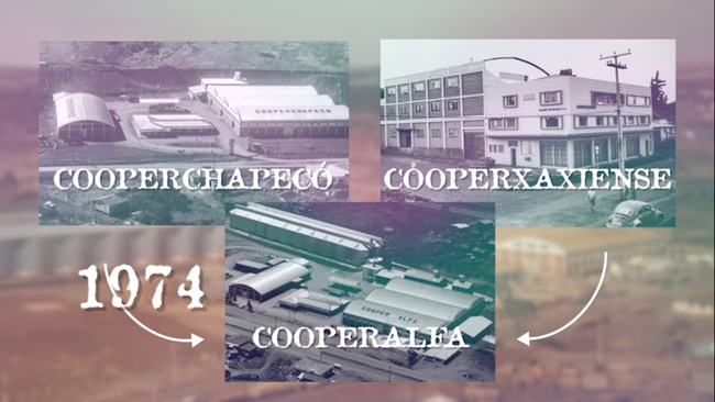 O legado da união: Cooperalfa celebra 58 anos de sucesso e sustentabilidade