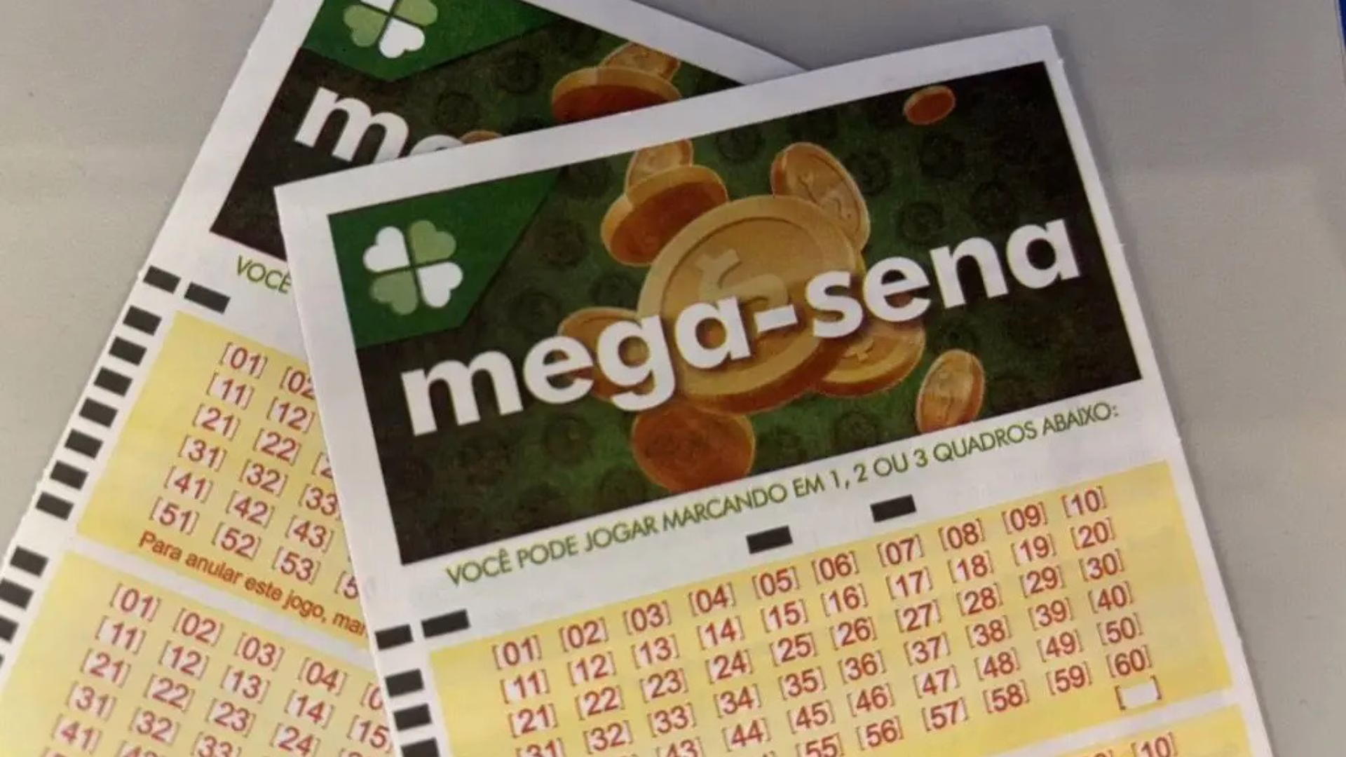 Apostas de SC levam prêmio na Mega-Sena | Foto: Internet/Reprodução