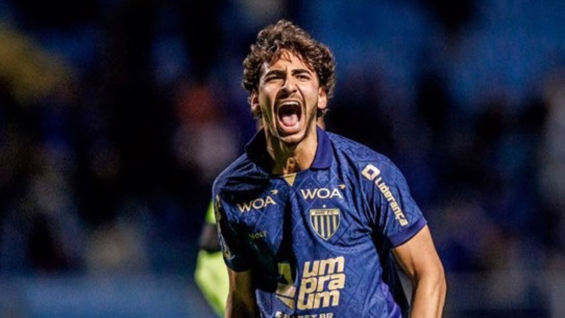 Em noite inspirada, Avaí goleia o Botafogo-SP por 5 a 0 pela Série B. – Foto: Fabiano Rateke / Avaí F.C