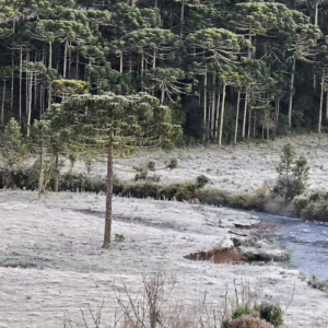 Frente fria derruba temperaturas e pode trazer neve a SC; veja quando