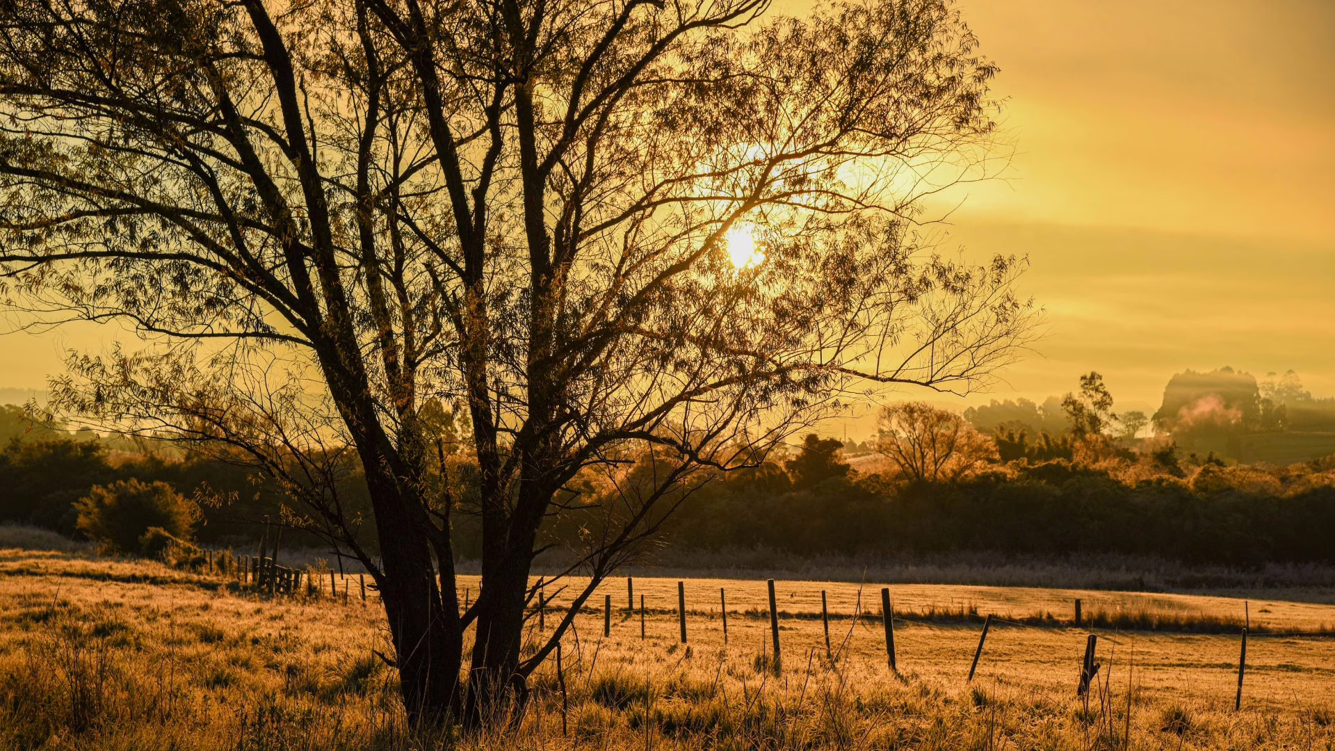 Frio pela manhã e sol à tarde veja como fica o tempo em SC nos próximos dias. – Foto: Imagem Ilustrativa/Canva/Reprodução