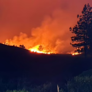 Fumaça de incêndio florestal causa caos e reduz visibilidade na BR-470 em Otacílio Costa | Foto: 5 BBM