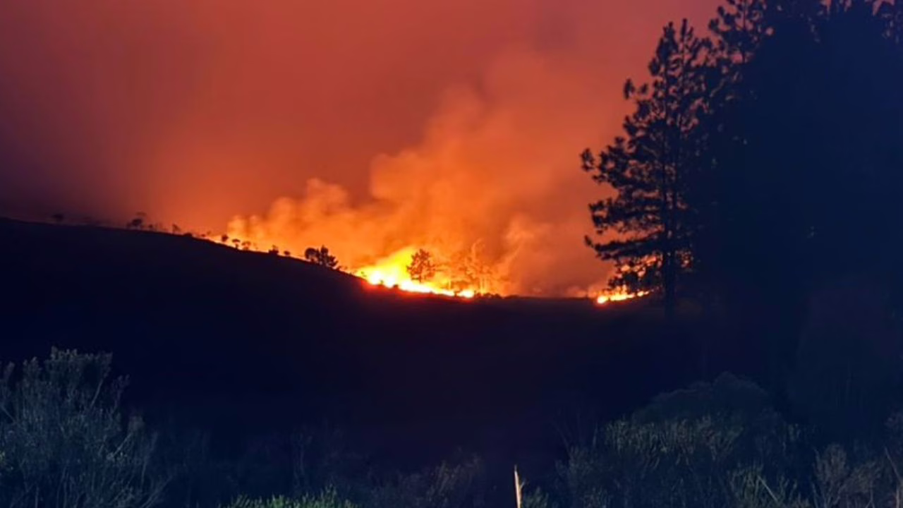 Fumaça de incêndio florestal causa caos e reduz visibilidade na BR-470 em Otacílio Costa | Foto: 5 BBM
