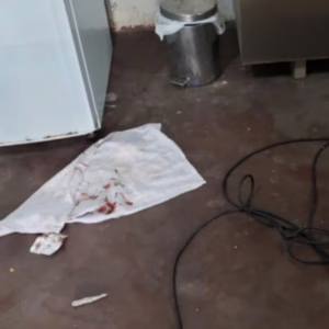 Irmãos são presos após roubo brutal e ameaças a idoso em SC | Imagem: Polícia Civil/Reprodução