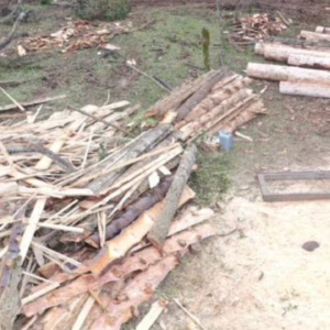 Madeira de pinheiro ameaçado e serraria móvel são apreendidas em Correia Pinto | Foto: PMA Serra