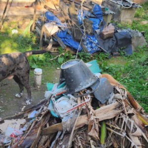Mulher é presa por abandonar cachorro em casa em Florianópolis. - Foto: PCSC/Reprodução