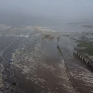 Ondas de tsunami atingem Havaí após terremoto no extremo leste da Rússia | Foto: Divulgação, via REUTERS | SBT News