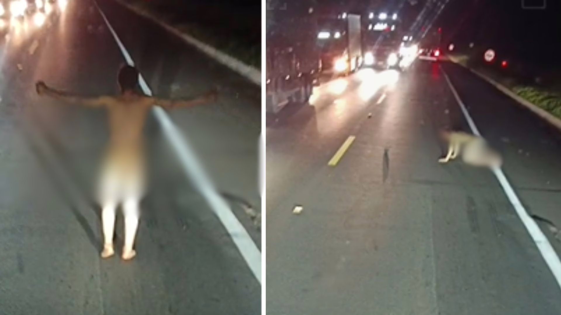 Engatinhando, homem nu causa tumulto em rodovia de SC; assista – Imagem: reprodução