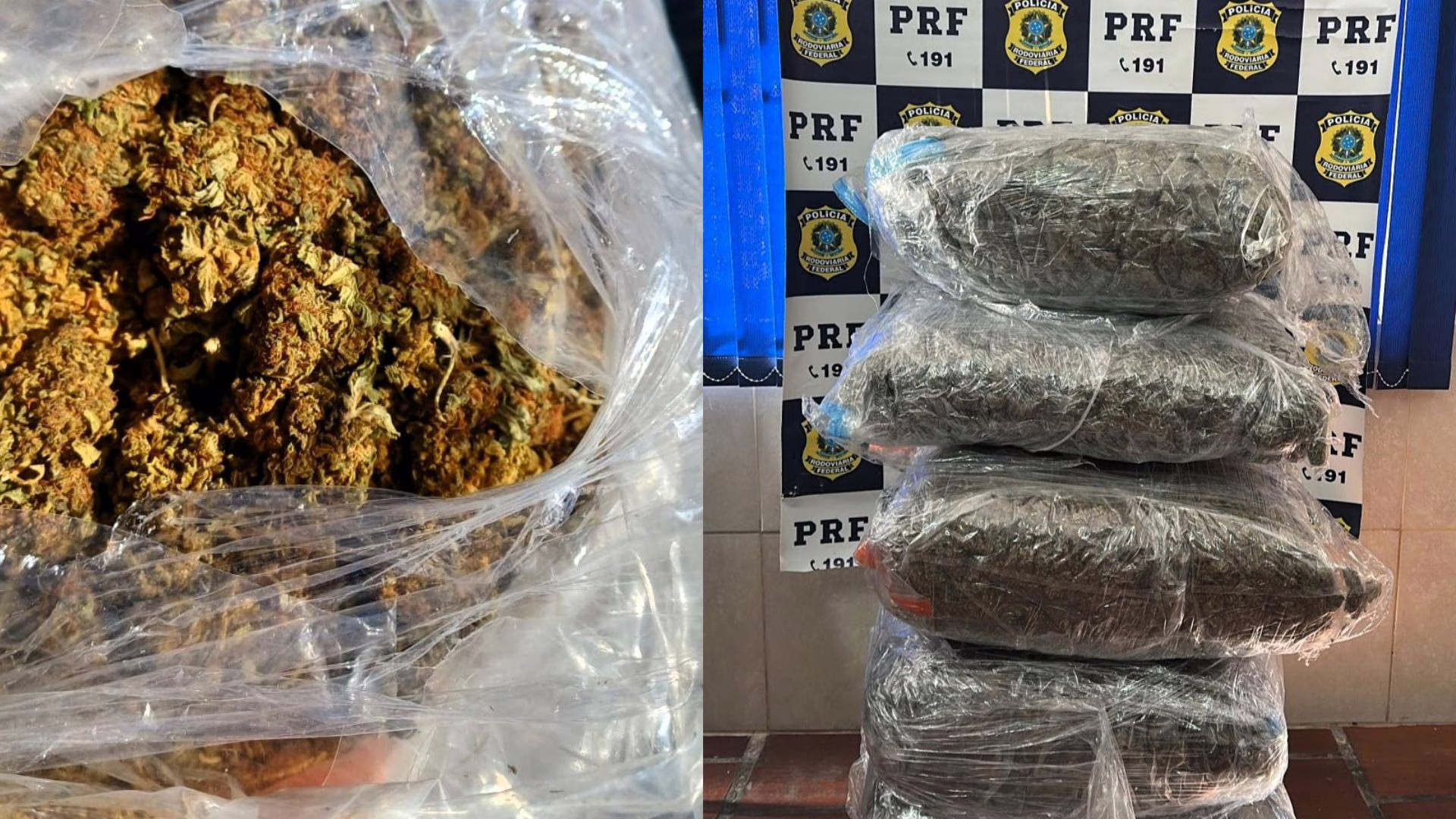 Perseguição na BR-101 termina com apreensão de 40 kg de drogas em SC -Imagem: reprodução/ PRF