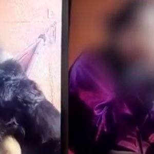 VÍDEO: mulher força cachorro do ex a inalar fumança de maconha e queima focinho do animal