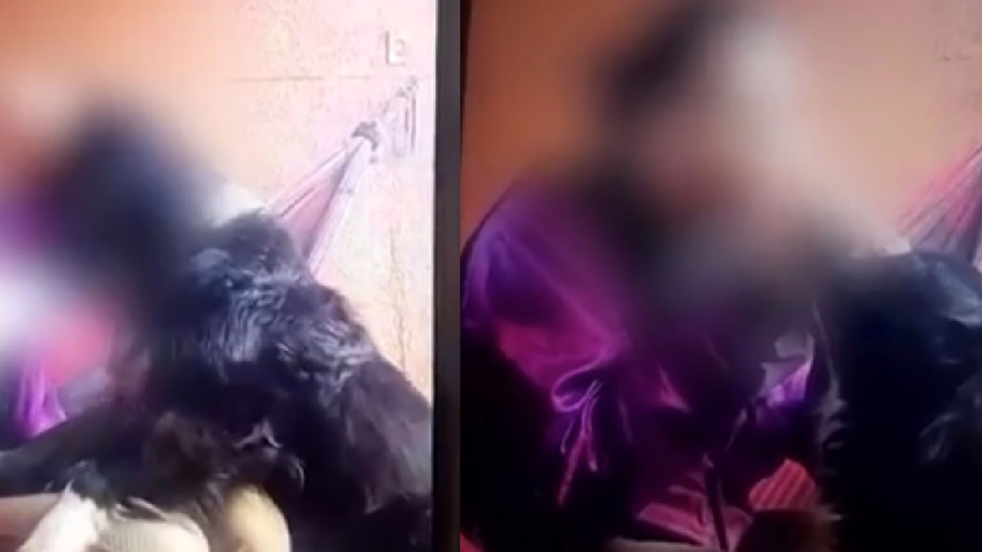 VÍDEO: mulher força cachorro do ex a inalar fumança de maconha e queima focinho do animal