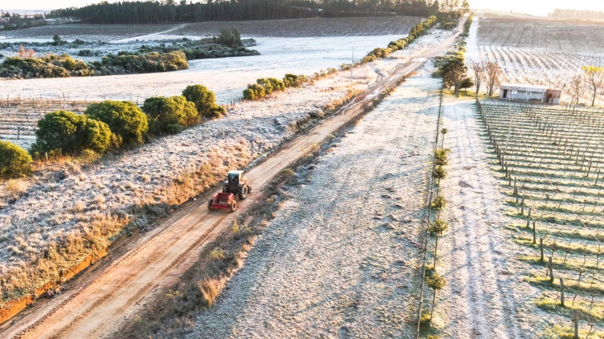 Frio intenso, geadas e temporais: previsão indica clima instável em SC até setembro – Imagem: reprodução/ Metsul