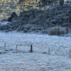 Temperaturas negativas marcam o amanhecer em cidades da Serra Catarinense | Foto: Sérgio Felipe Rodrigues