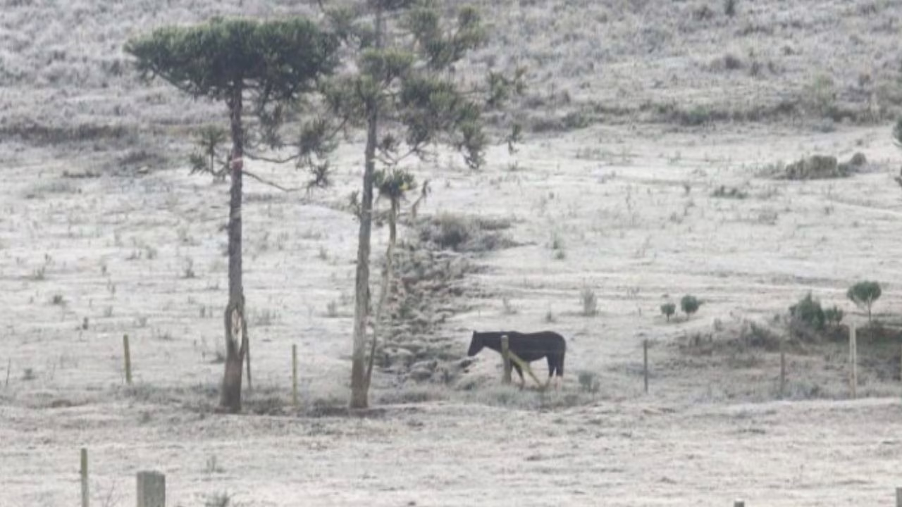 Temperaturas negativas marcam o amanhecer na Serra Catarinense | Foto: Wagner Urbano